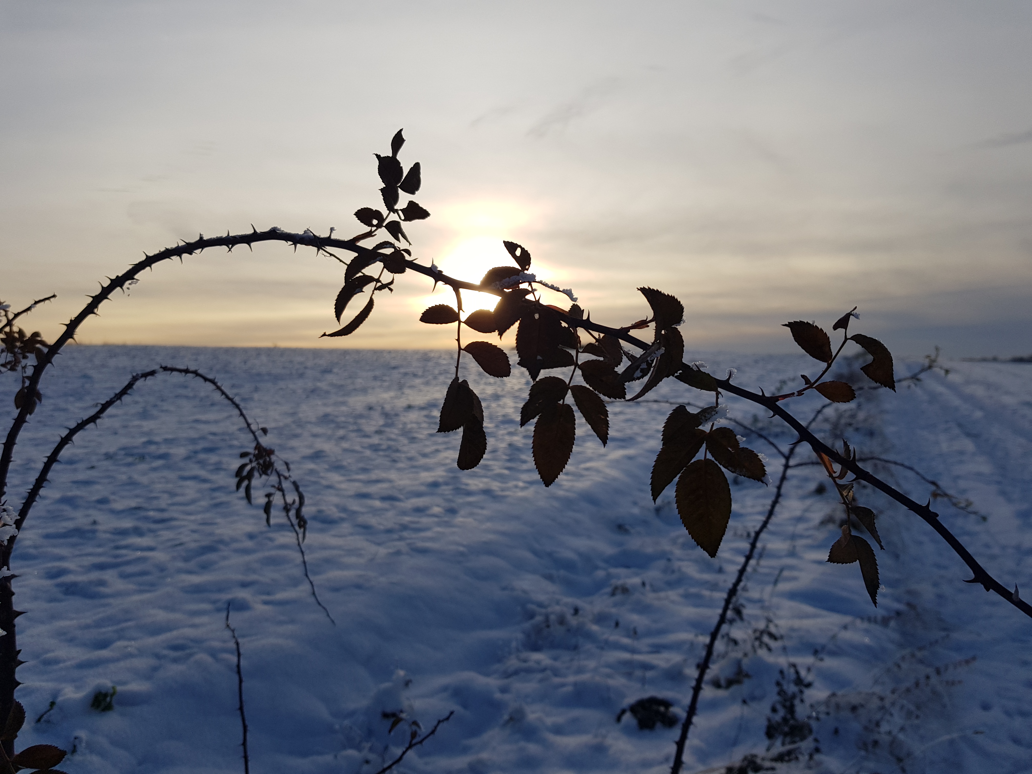 2025 08 Koffer im Vorgarten