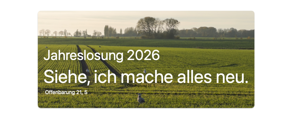 Jahreslosung 2026 - Siehe, ich mache alles neu.  Offenbarung 21, 5